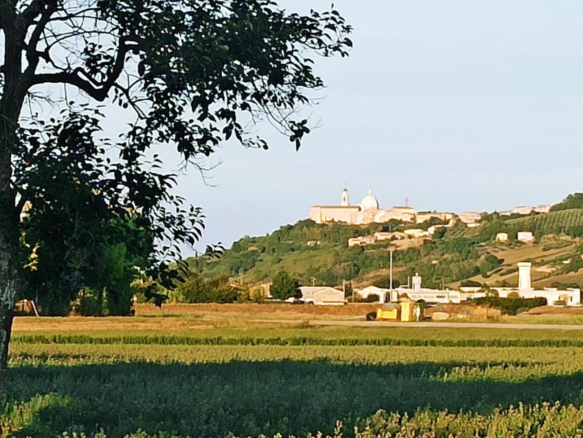 Apartamento Il Cipresso Casa Saraceni Exterior foto